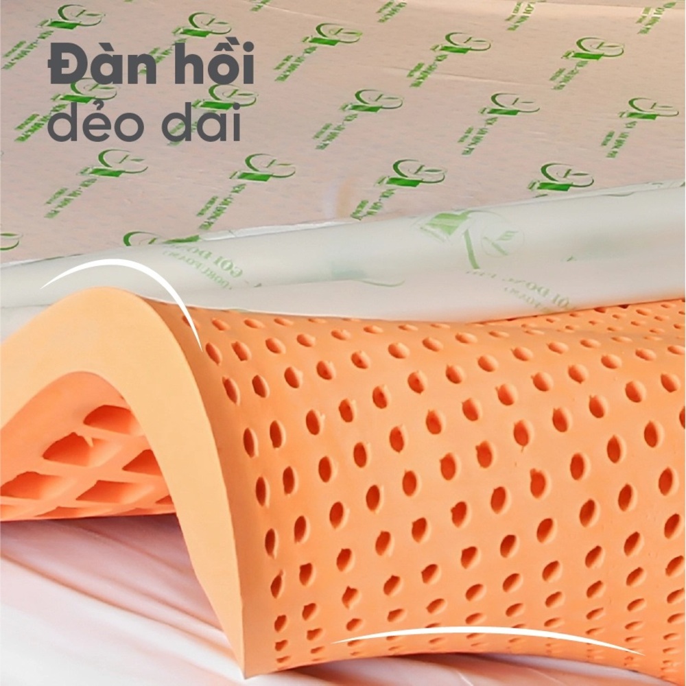 Nệm cao su thiên nhiên gấp Đồng Phú - Ảnh 2