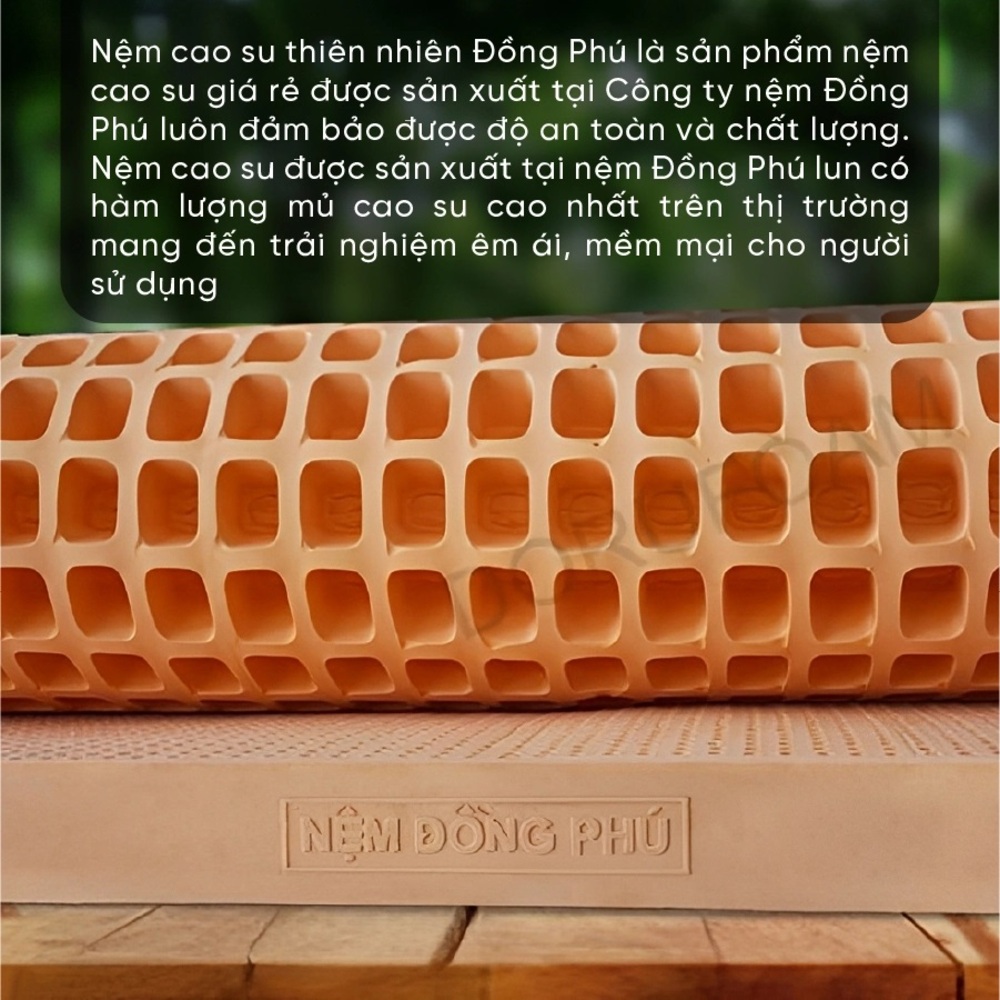 Nệm cao su thiên nhiên gấp Đồng Phú - Ảnh 3