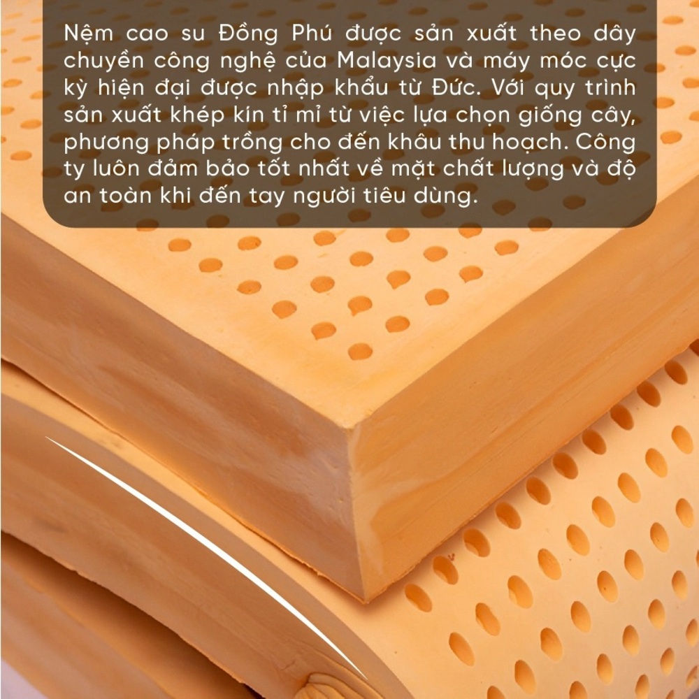 Nệm cao su thiên nhiên gấp Đồng Phú - Ảnh 4