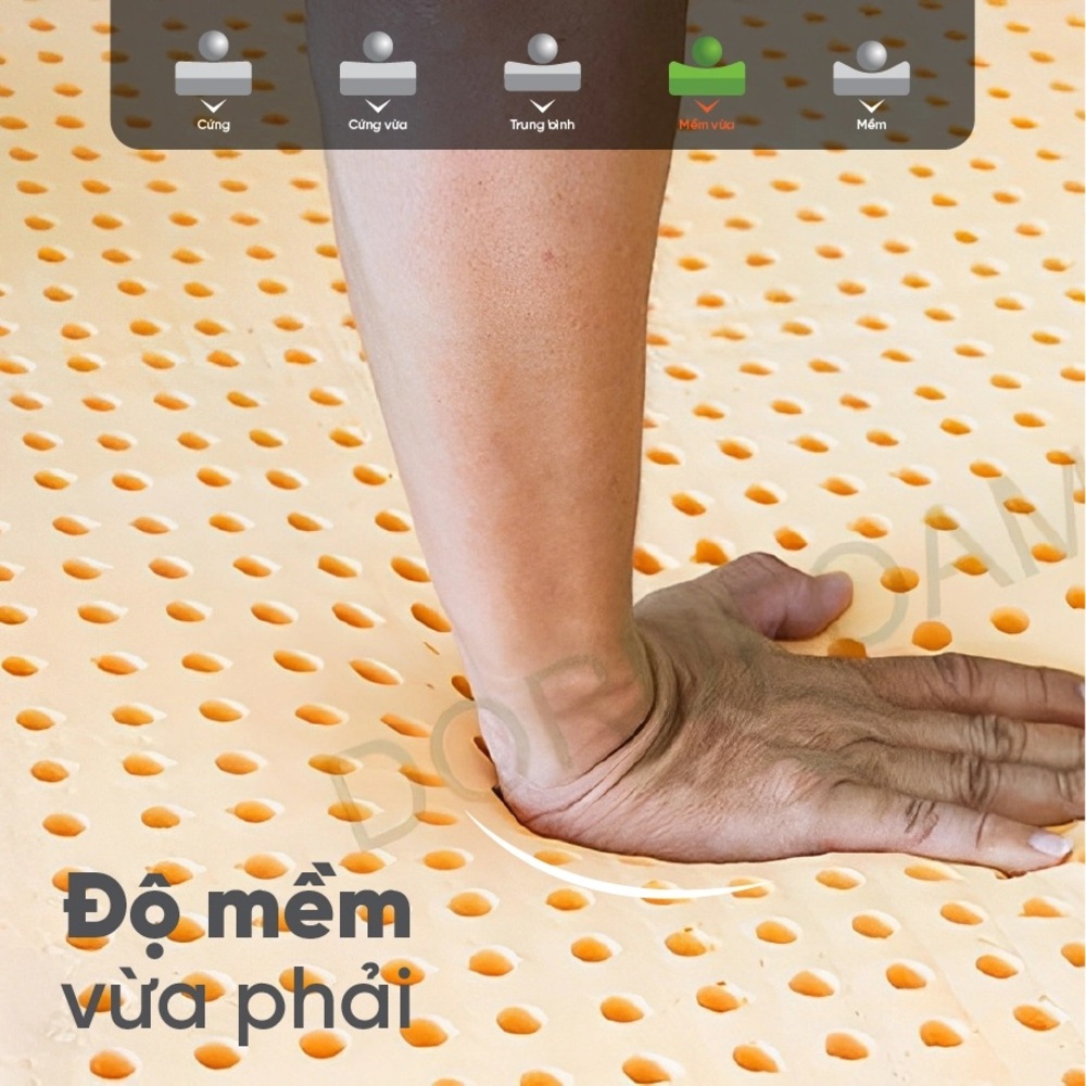 Nệm cao su thiên nhiên gấp Đồng Phú - Ảnh 5