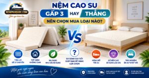 Nệm Cao Su Gấp 3 Hay Thẳng: Nên Chọn Mua Loại Nào? | Nệm Phú Quốc
