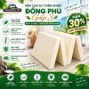 Nệm Cao Su Thiên Nhiên Gấp Đồng Phú Giảm 30% Giá Tốt