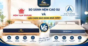 So Sánh Nệm Cao Su Vạn Thành Và Kim Cương: Lựa Chọn Nào Đáng Mua Hơn?