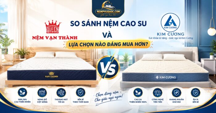 So Sánh Nệm Cao Su Vạn Thành Và Kim Cương: Lựa Chọn Nào Đáng Mua Hơn?